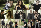 tvd (3)