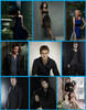 tvd (4)