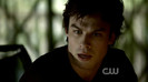 TVD (16)