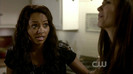 TVD (20)