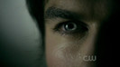 TVD (29)