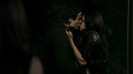 TVD (36)