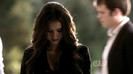 TVD (15)