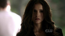 TVD (19)