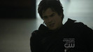 TVD (36)