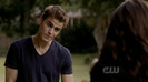 TVD (39)