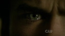 TVD (47)