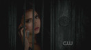 TVD (17)