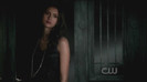 TVD (18)