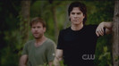 TVD (22)