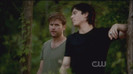 TVD (23)