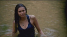 TVD (24)
