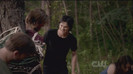 TVD (32)