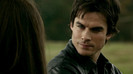 TVD (5)