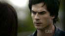 TVD (21)