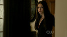 TVD (29)