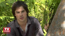 TVD (6)