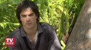 TVD (7)