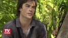TVD (18)