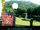 Dil Mil _1118