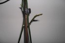 A R 002