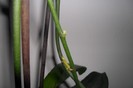 A R 004