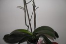 A R 005