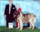 2frolbestofbreed2002fcijudge1-med