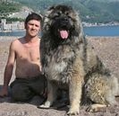 Osman_Hoksa_Rex&Arthur_Budva-beach_g