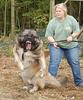 The-Caucasian-Shepherd-Dog