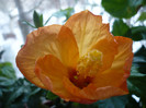 P1110335