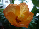 P1110336