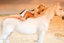 Andreea-25977-27