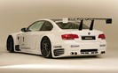 bmw_m_alms_race_car