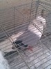 Imag019