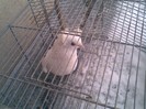 Imag027