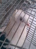 Imag002
