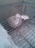 Imag014