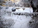 -iarna si pitigoii 2012 002