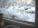 -iarna si pitigoii 2012 005