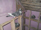 Picture 3085