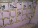 Picture 3086