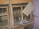 Picture 3088