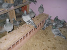 Picture 3090