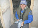 LUYS ORIGINAL BURCA IONUT