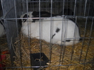 Picture 025