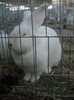 Picture 028