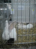 Picture 030