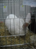 Picture 037