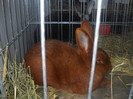 Picture 044